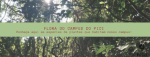 Banner flora do Pici