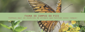 banner fauna do Pici